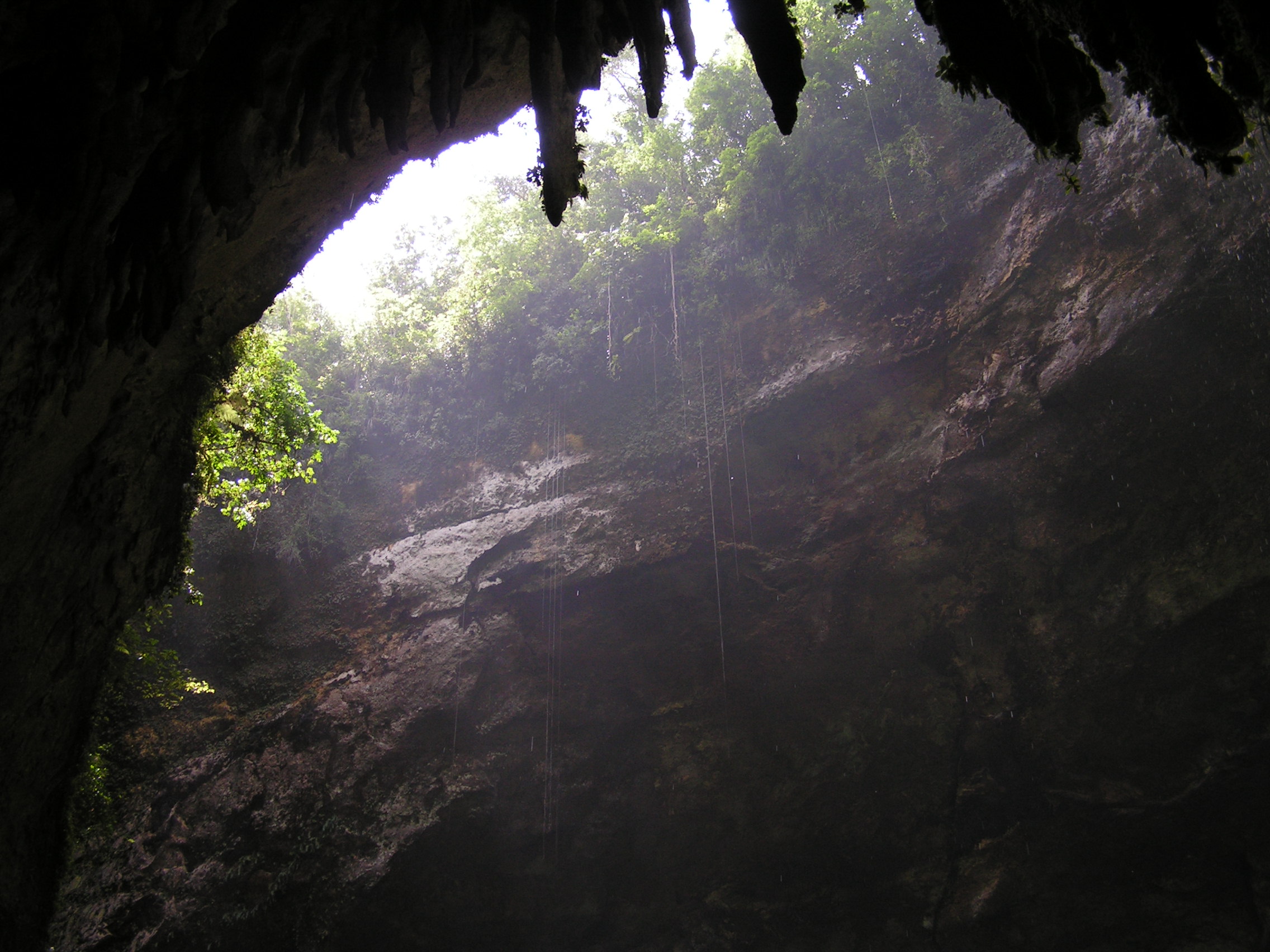 ./2005/Puerto Rico/Part 1/PICT0266.JPG